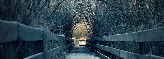 Winter Moments Title Header