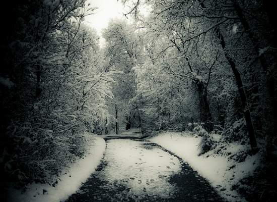 Winter Path by Strobehead