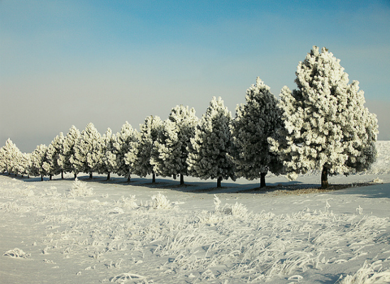 Winter in Montana by Todd Klassy