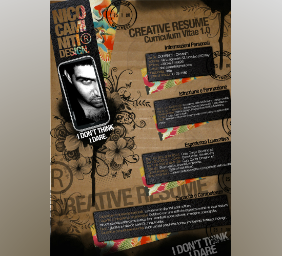 Creative Resume -1.0 - 2010 by Domenico Caminiti