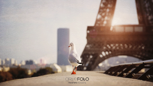 Eiffel Model by Arte Foto
