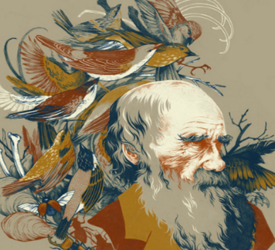 The Descent of Man: A portrait of Charles Darwin by Teagan White