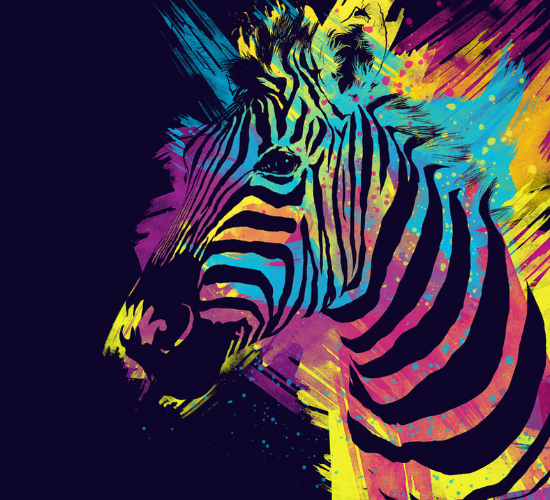 Zebra Splatters by Olechka