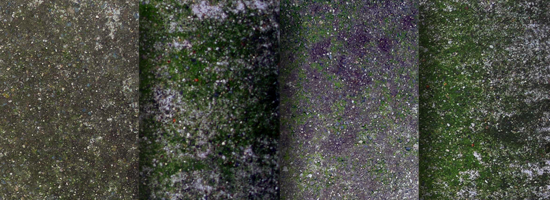 Moss Concrete Texture Set
