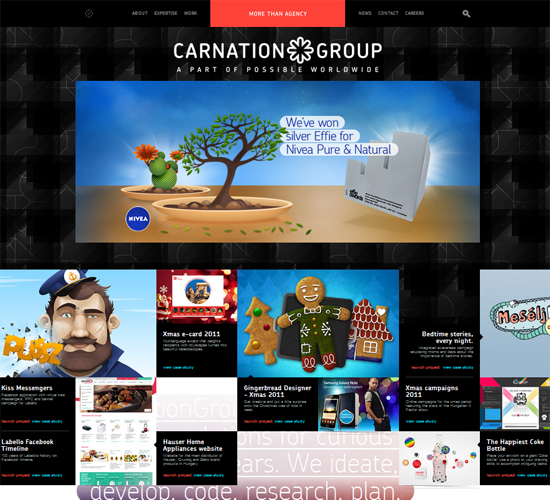 Carnation Group
