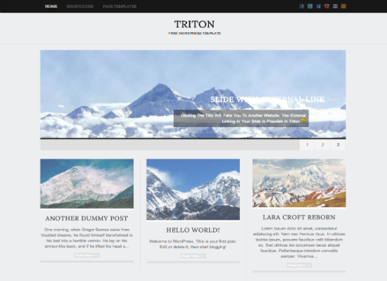 Triton Lite - Free Portfolio WP Theme