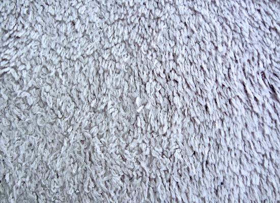 White Carpet Texture